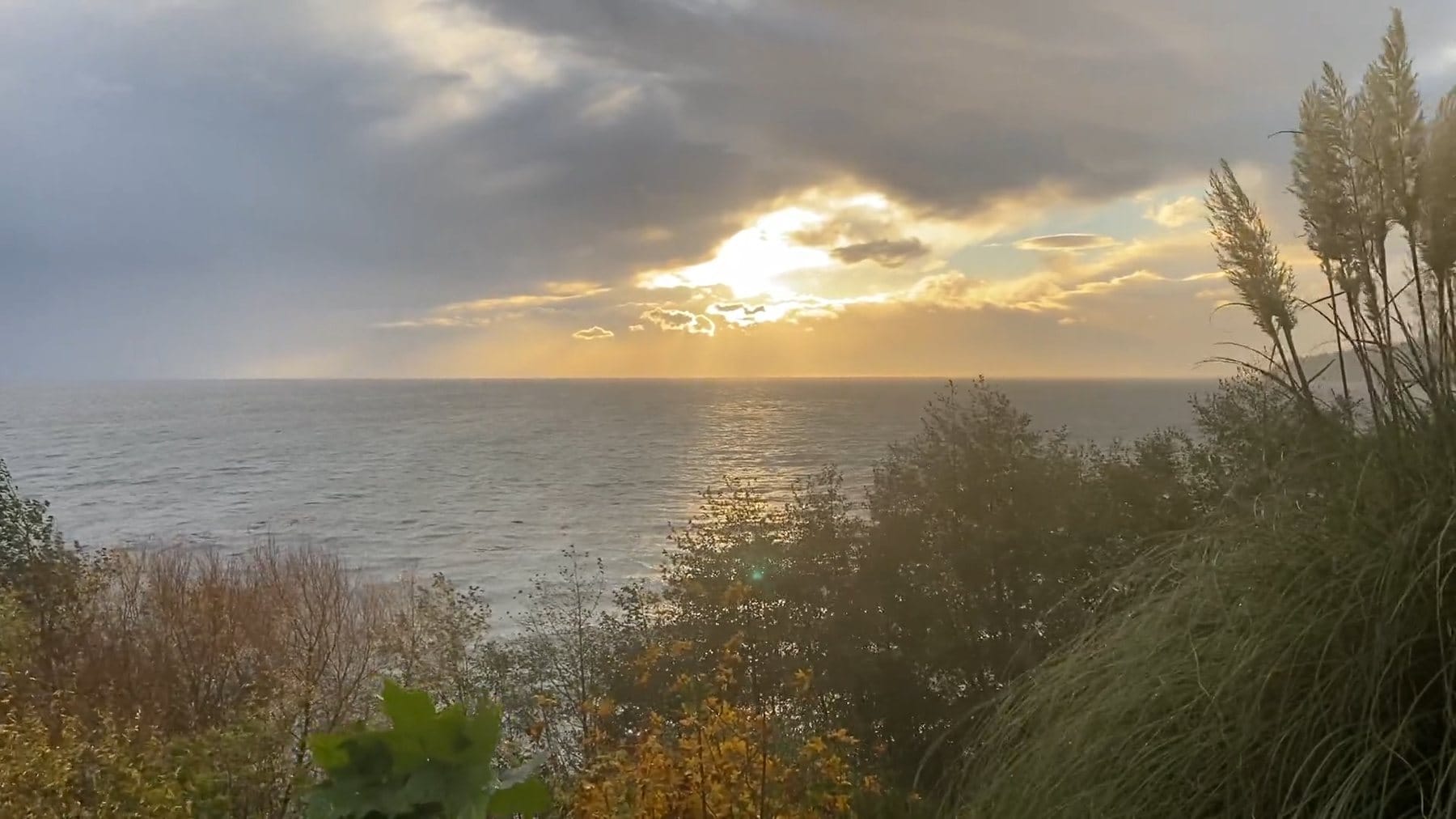 Dawn breaking over the ocean through tall grass